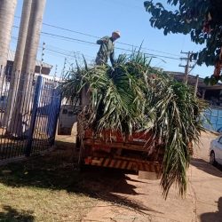 Limpeza do local de trabalho